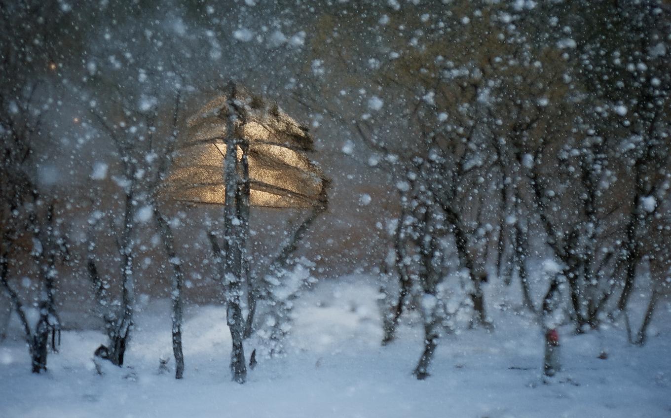 Analysis of a Classic Chinese Poem: 凭阑人