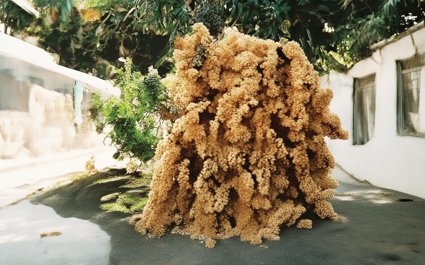 Analysis of a Classic Chinese Poem: 登飞来峰