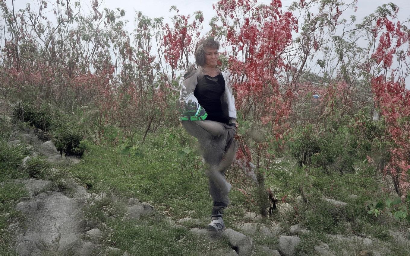 Analysis of a Classic Chinese Poem: 凤凰台上忆吹箫