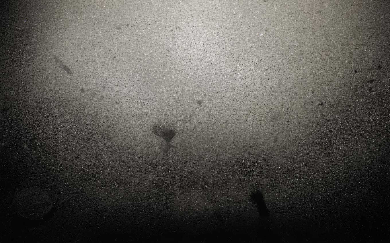 Analysis of a Classic Chinese Poem: 听张立本女吟