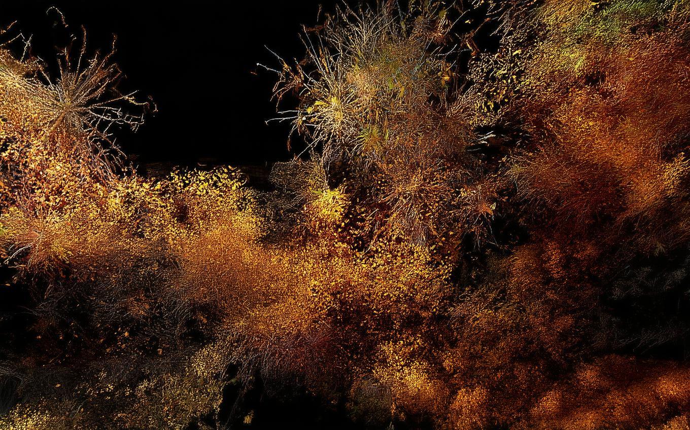 Analysis of a Classic Chinese Poem: 念奴娇·过洞庭