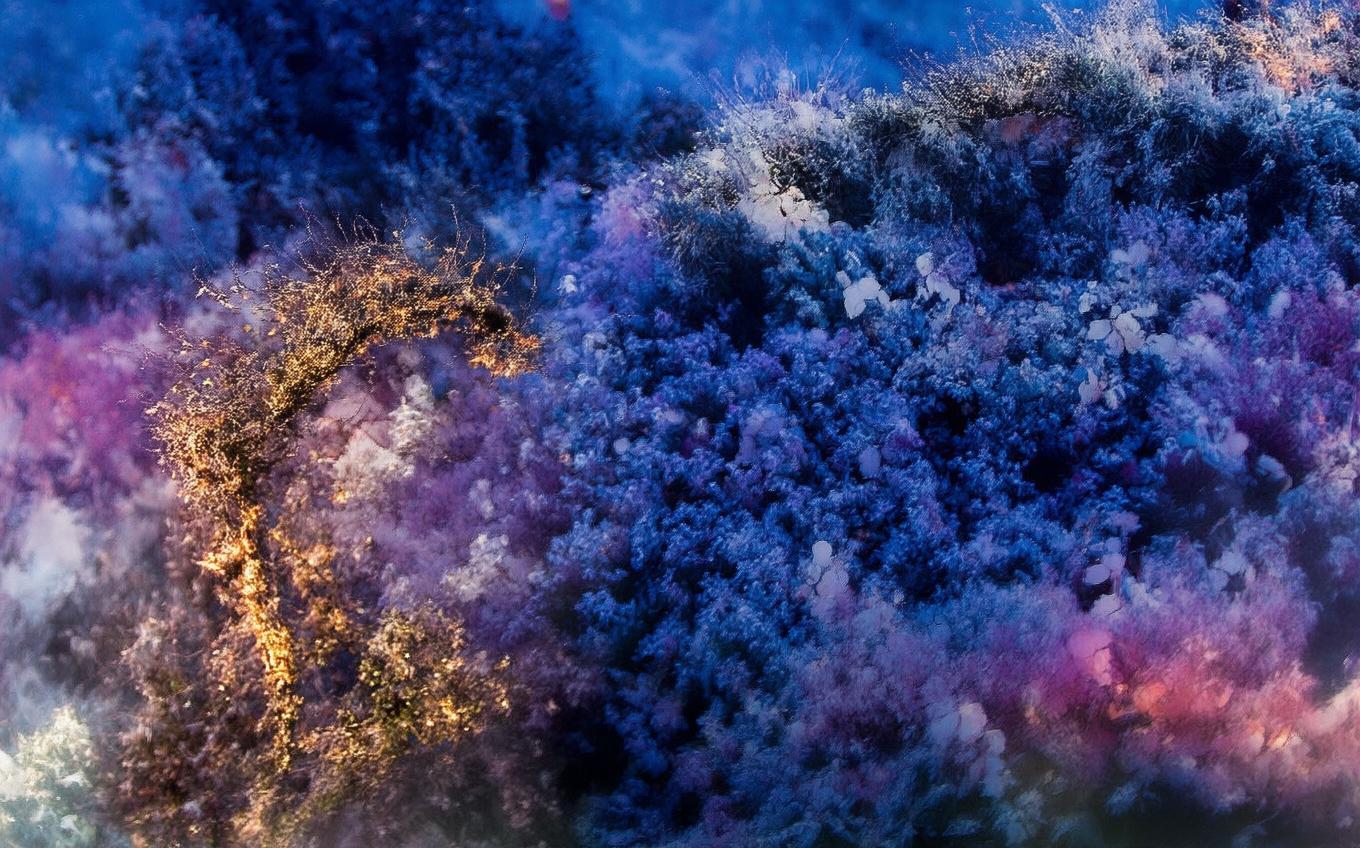 Analysis of a Classic Chinese Poem: 画堂春