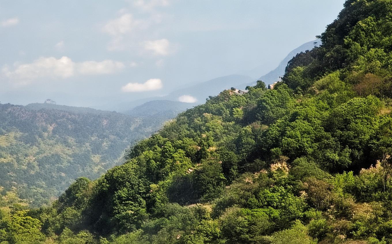 Analysis of a Classic Chinese Poem: 春雨