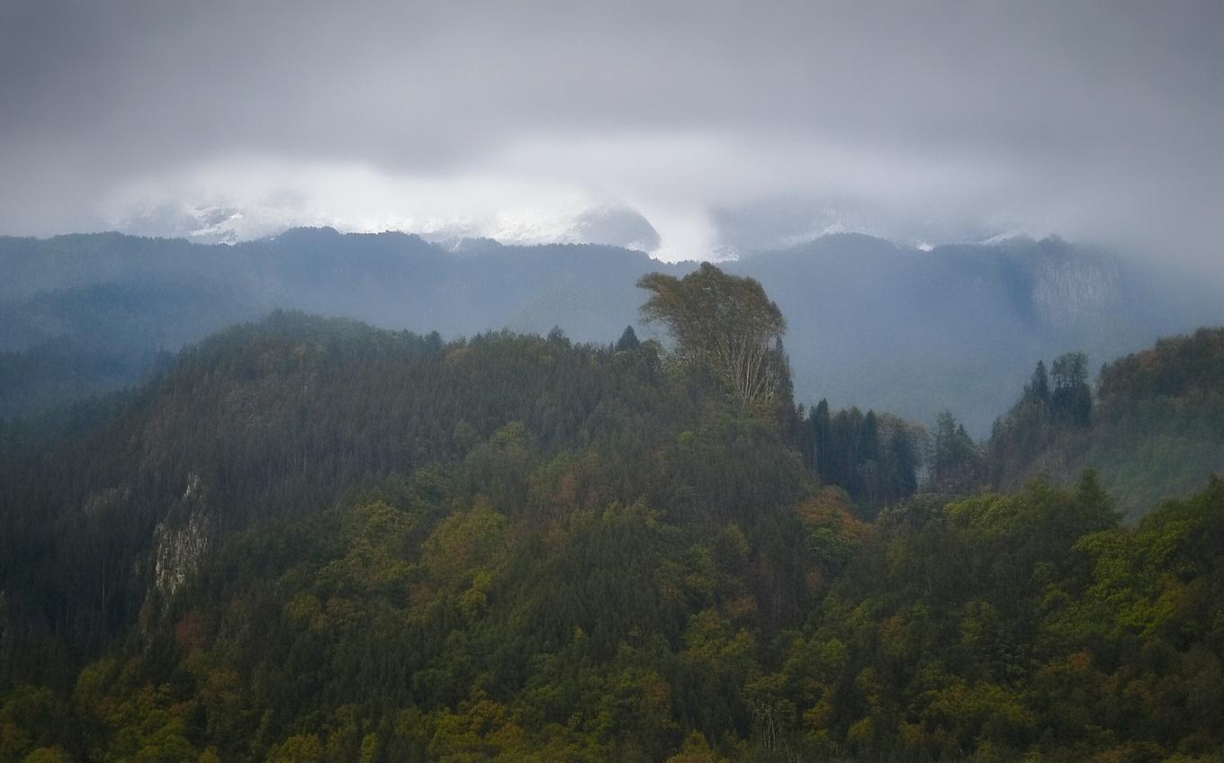 Analysis of a Classic Chinese Poem: 越女词