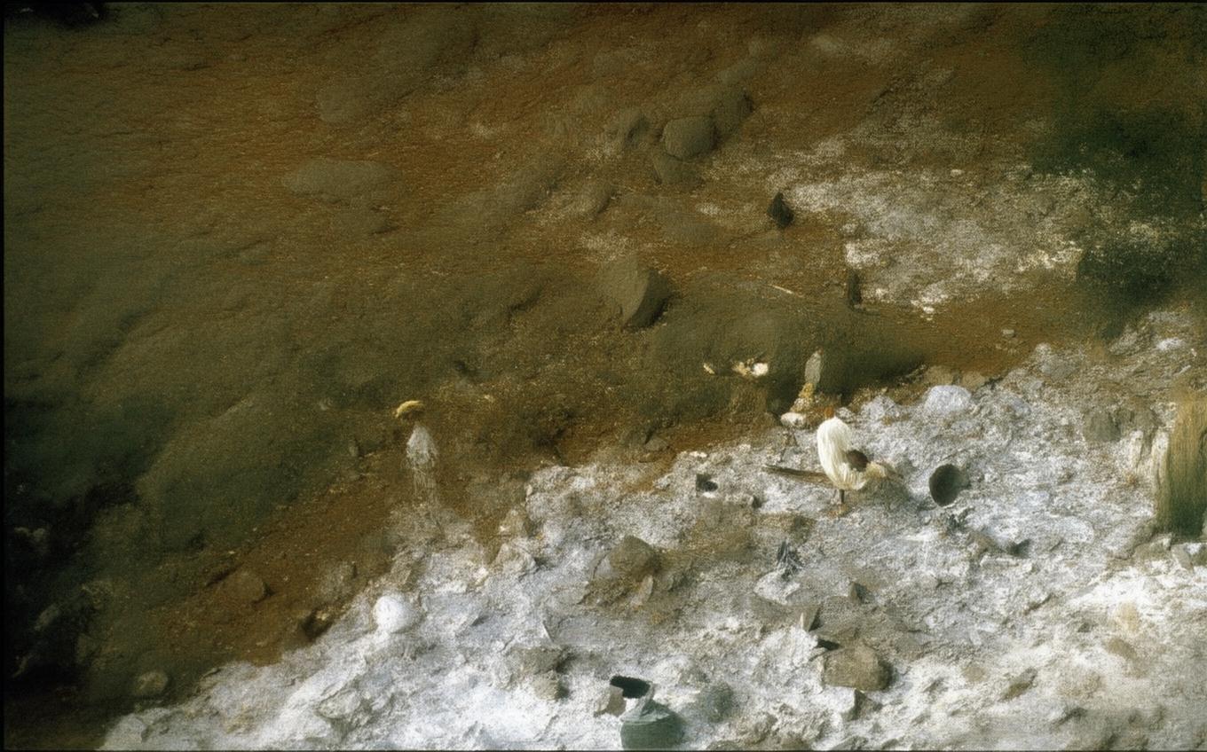 Analysis of a Classic Chinese Poem: 赋得古原草送别