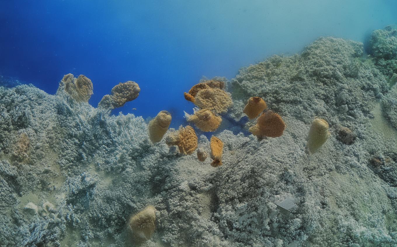 Analysis of a Classic Chinese Poem: 折桂令·九日