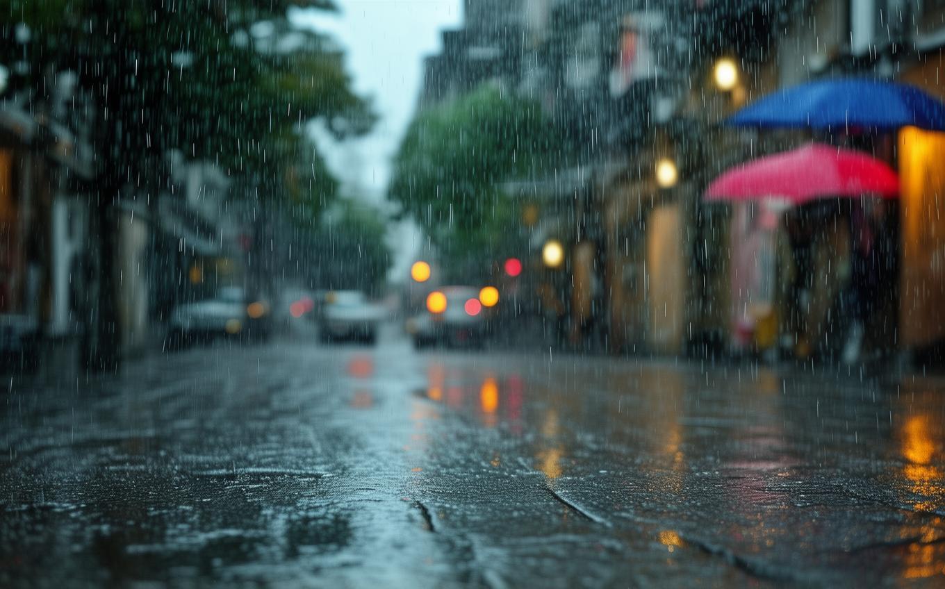 Learning Chinese Word: 雨水