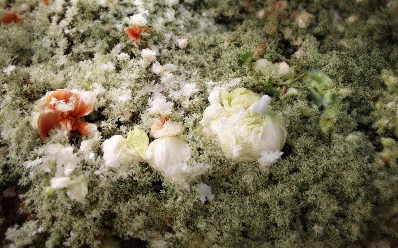 Analysis of a Classic Chinese Poem: 洛阳女儿行