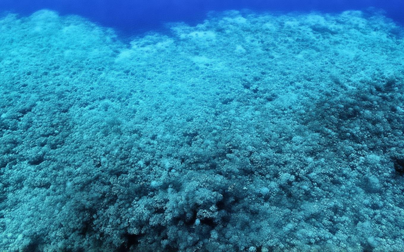 Analysis of a Classic Chinese Poem: 梦李白·其二