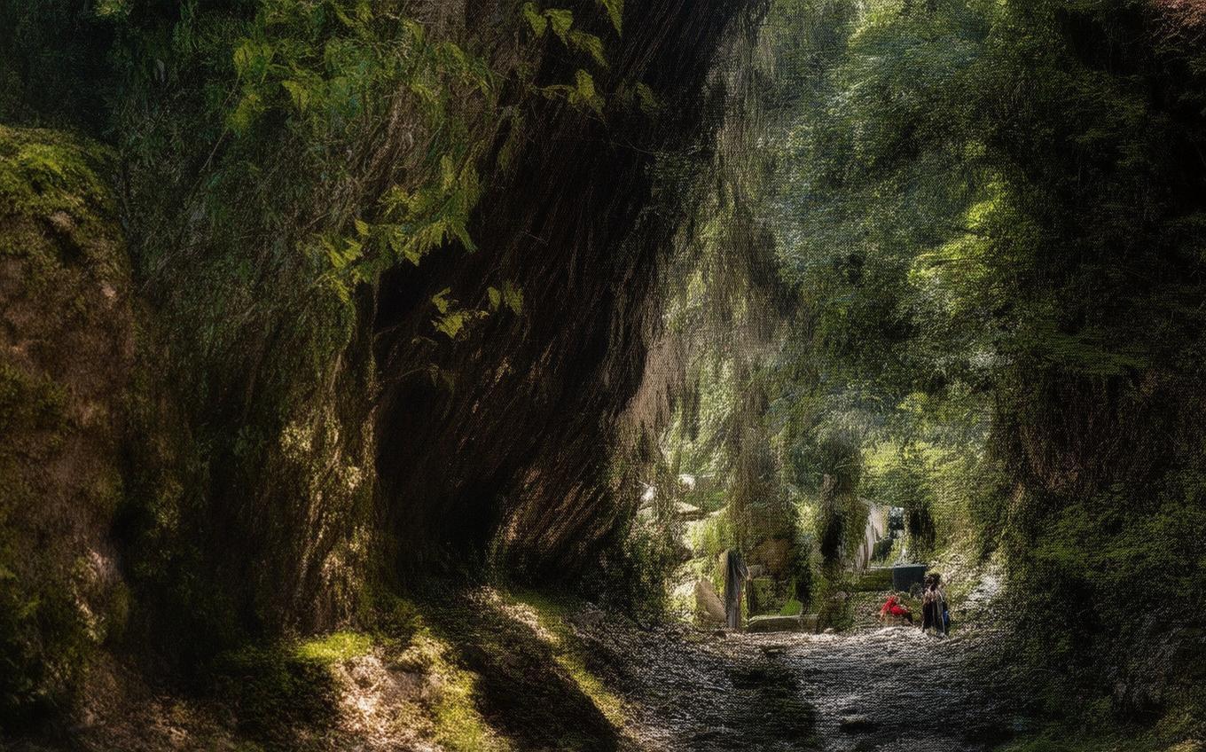 Analysis of a Classic Chinese Poem: 酬曹侍御过象县见寄