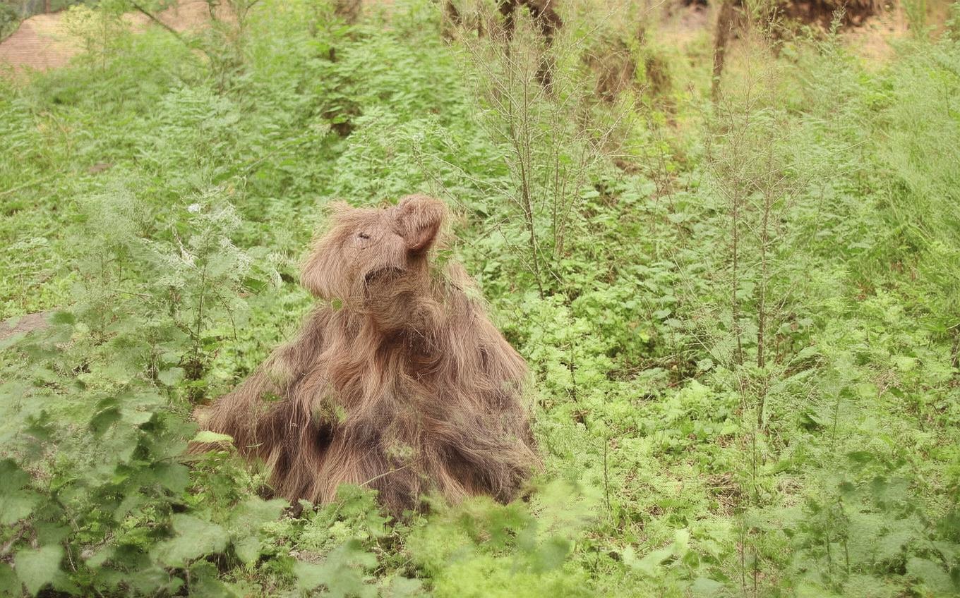 Analysis of a Classic Chinese Poem: 哀江头