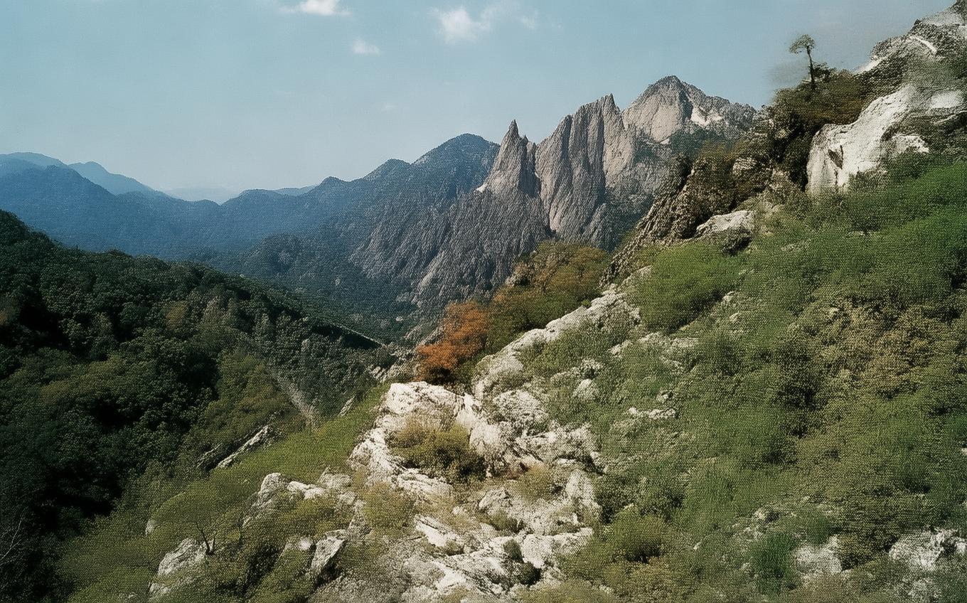 Learning Chinese Word: 在狱咏蝉