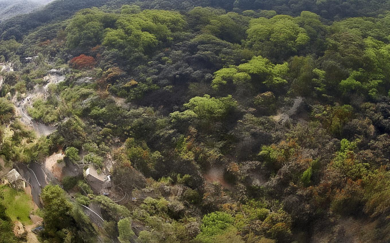 Analysis of a Classic Chinese Poem: 秋夜寄邱员外