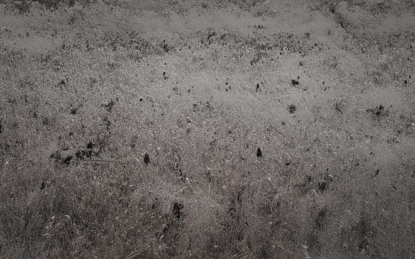 Analysis of a Classic Chinese Poem: 渔家傲·天接云涛连晓雾