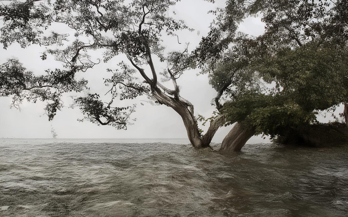 Learning Chinese Word: 卖花声·怀古