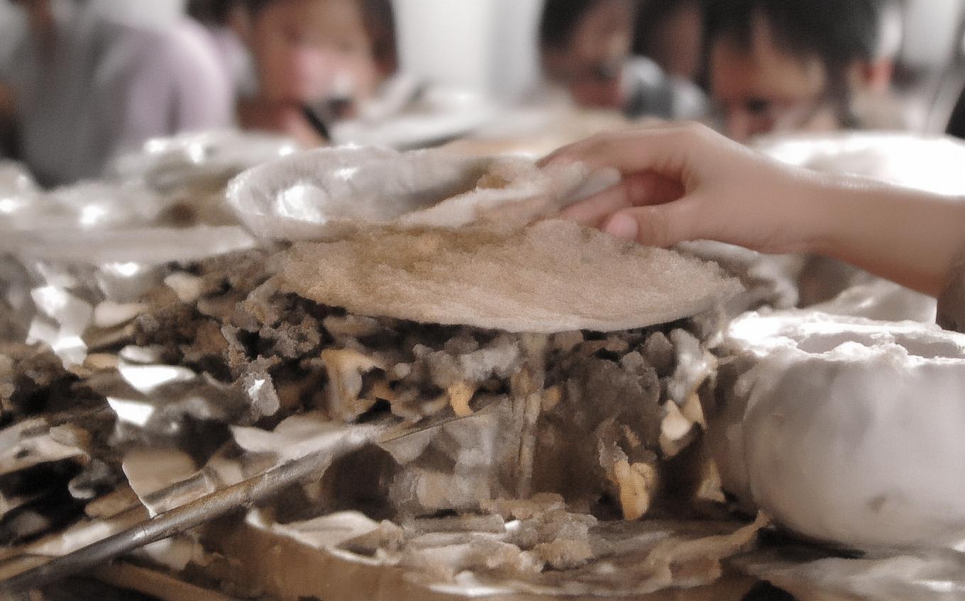 Learning Chinese Word: 天净沙·春