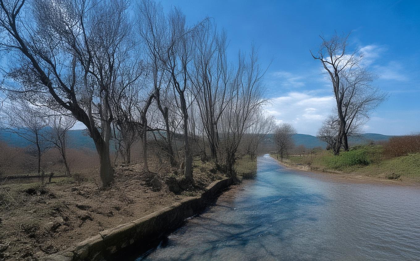 Learning Chinese Word: 书湖阴先生壁