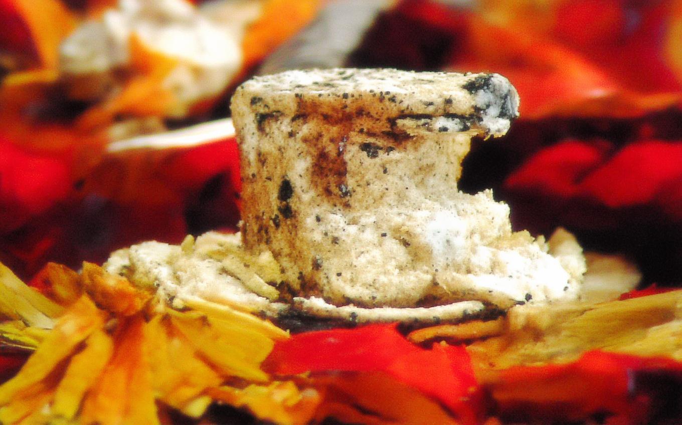 Analysis of a Classic Chinese Poem: 登幽州台歌