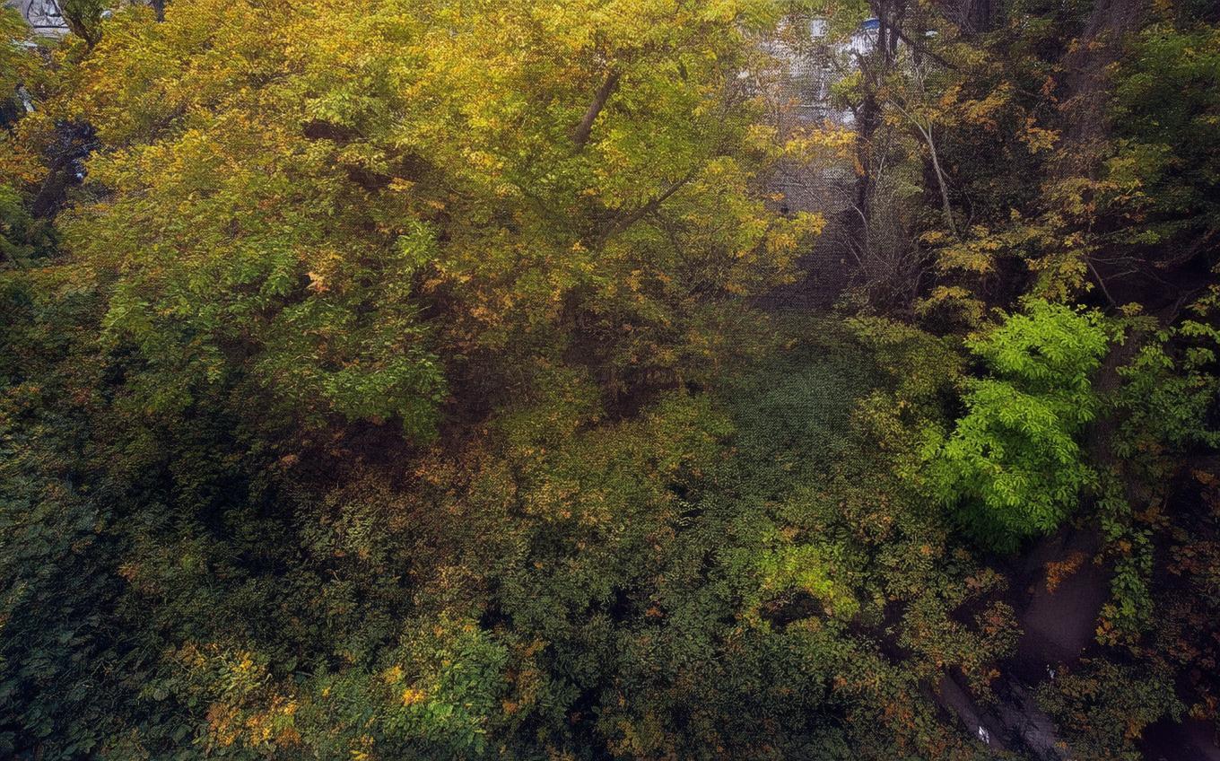 Analysis of a Classic Chinese Poem: 天净沙·秋