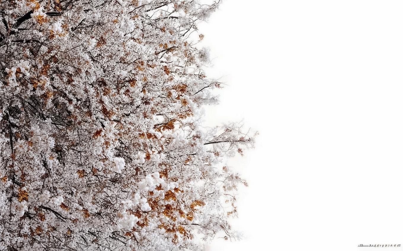 Analysis of a Classic Chinese Poem: 赠花卿