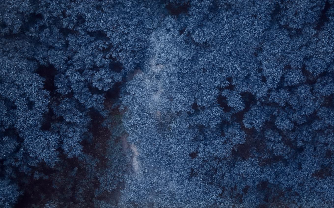 Analysis of a Classic Chinese Poem: 轮台歌奉送封大夫出师西征