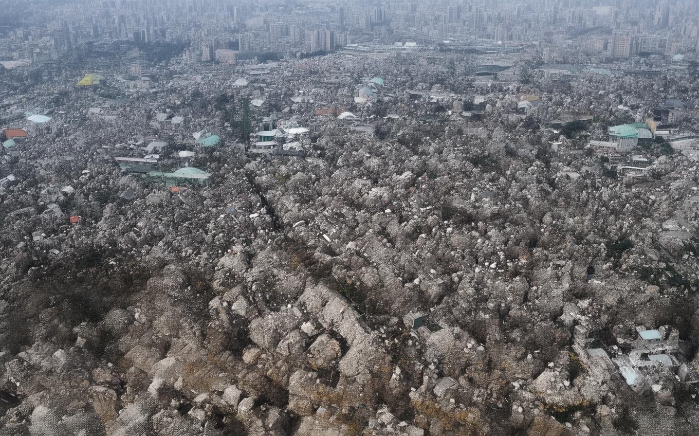 Analysis of a Classic Chinese Poem: 采莲曲