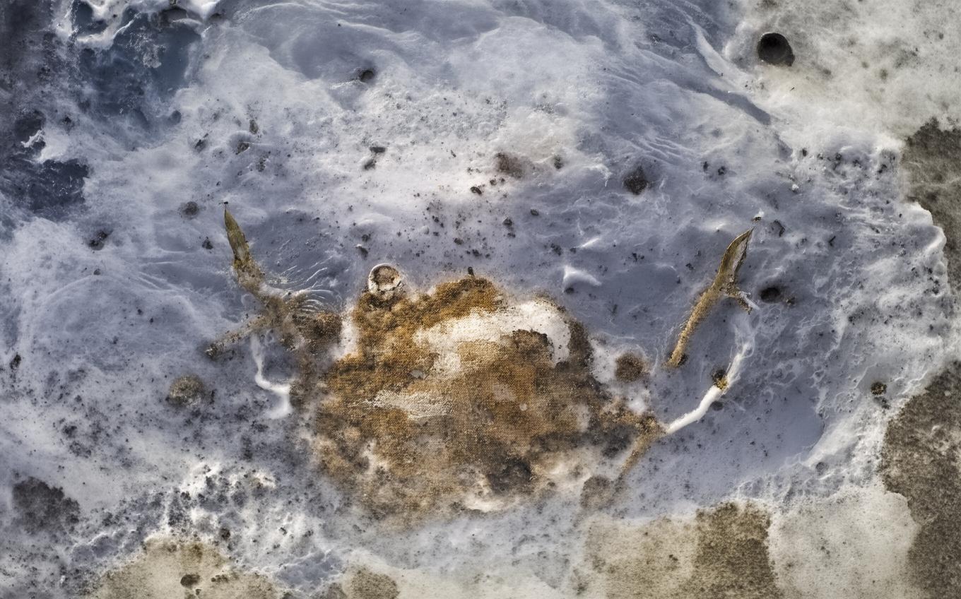 Analysis of a Classic Chinese Poem: 卜算子·咏梅