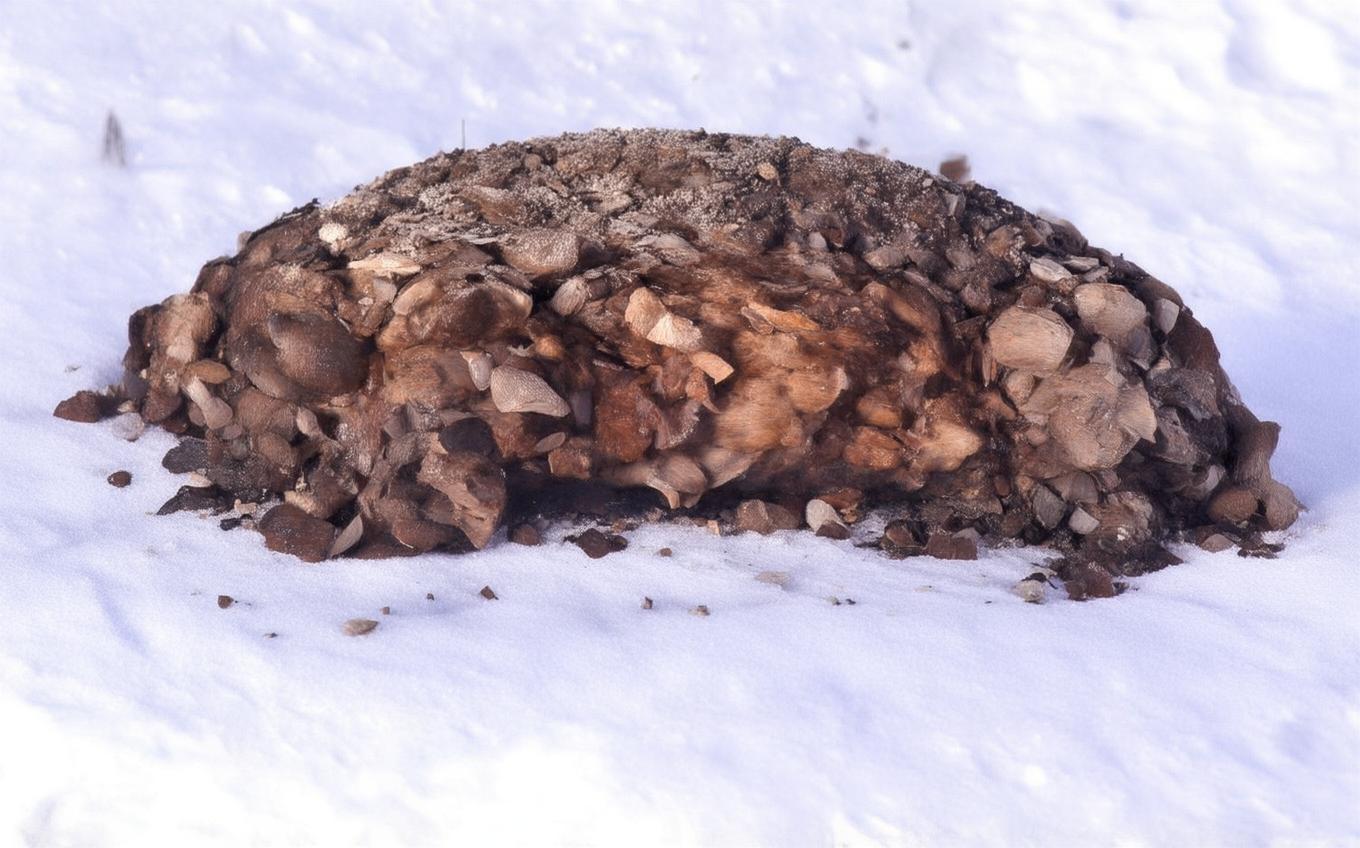 Analysis of a Classic Chinese Poem: 夷门歌