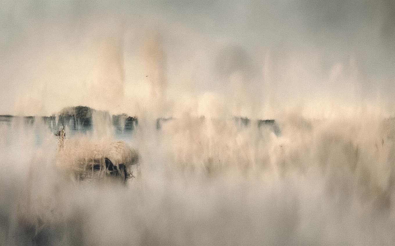 Analysis of a Classic Chinese Poem: 别严士元