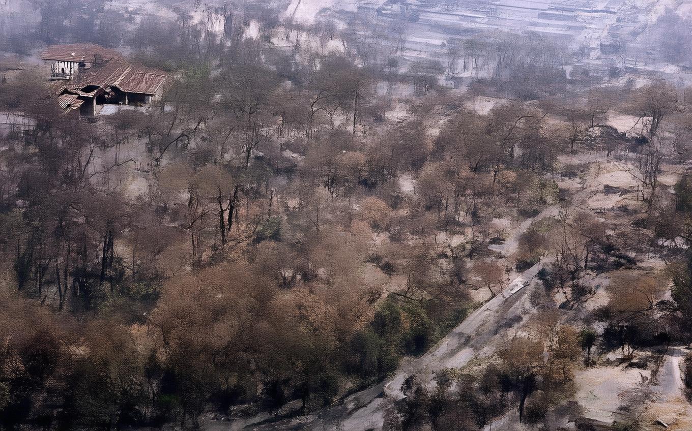 Analysis of a Classic Chinese Poem: 韦讽录事宅观曹将军画马图