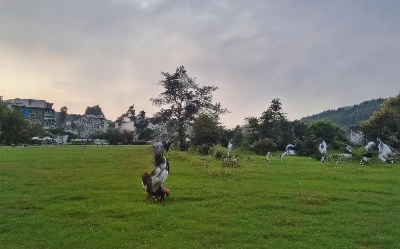 Analysis of a Classic Chinese Poem: 野田黄雀行