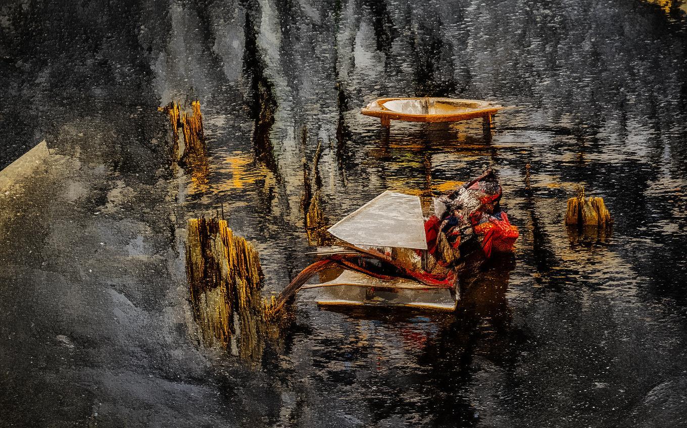 Analysis of a Classic Chinese Poem: 梧桐雨·夜雨