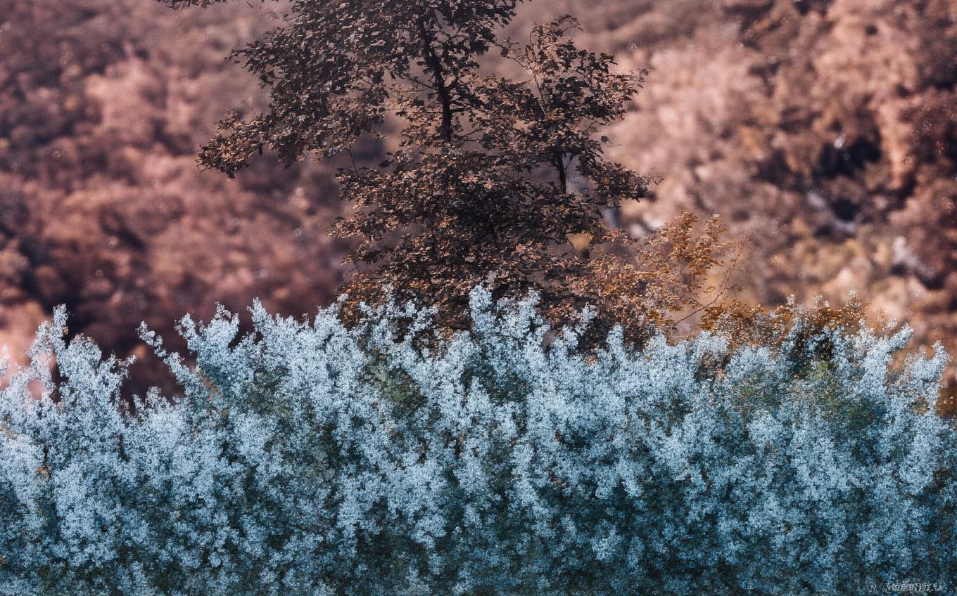 Analysis of a Classic Chinese Poem: 一剪梅