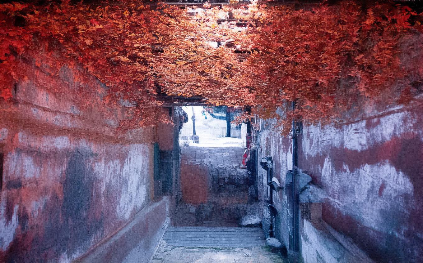 Analysis of a Classic Chinese Poem: 浣溪沙·一曲新词酒一杯