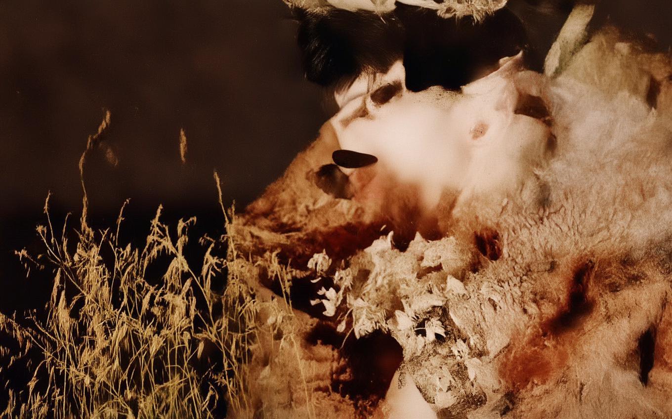 Analysis of a Classic Chinese Poem: 椒园