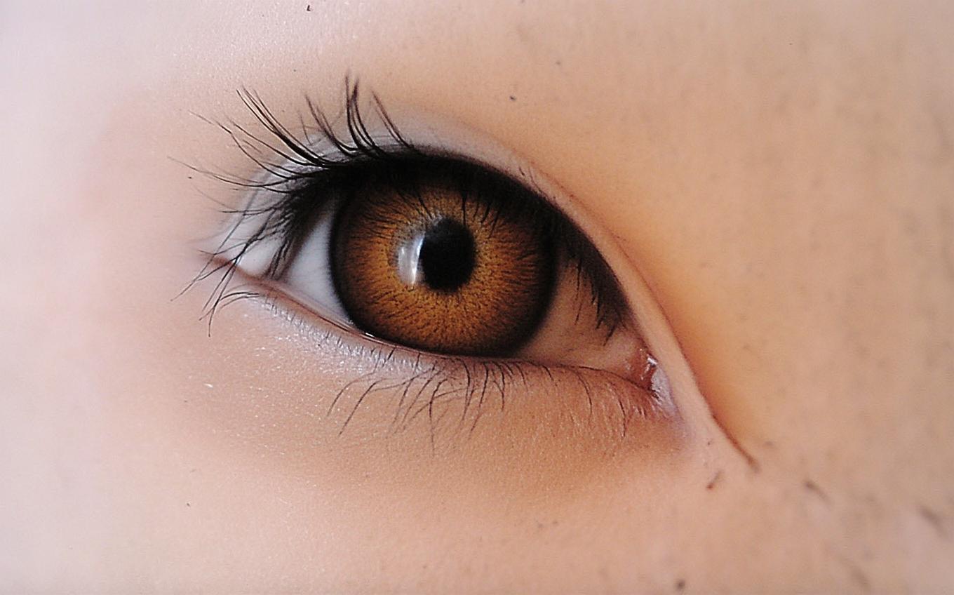 Analysis of a Classic Chinese Poem: 鹧鸪天·林断山明竹隐墙