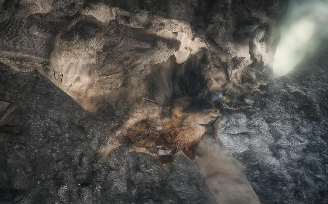 Learning Chinese Word: 送友人游梅湖