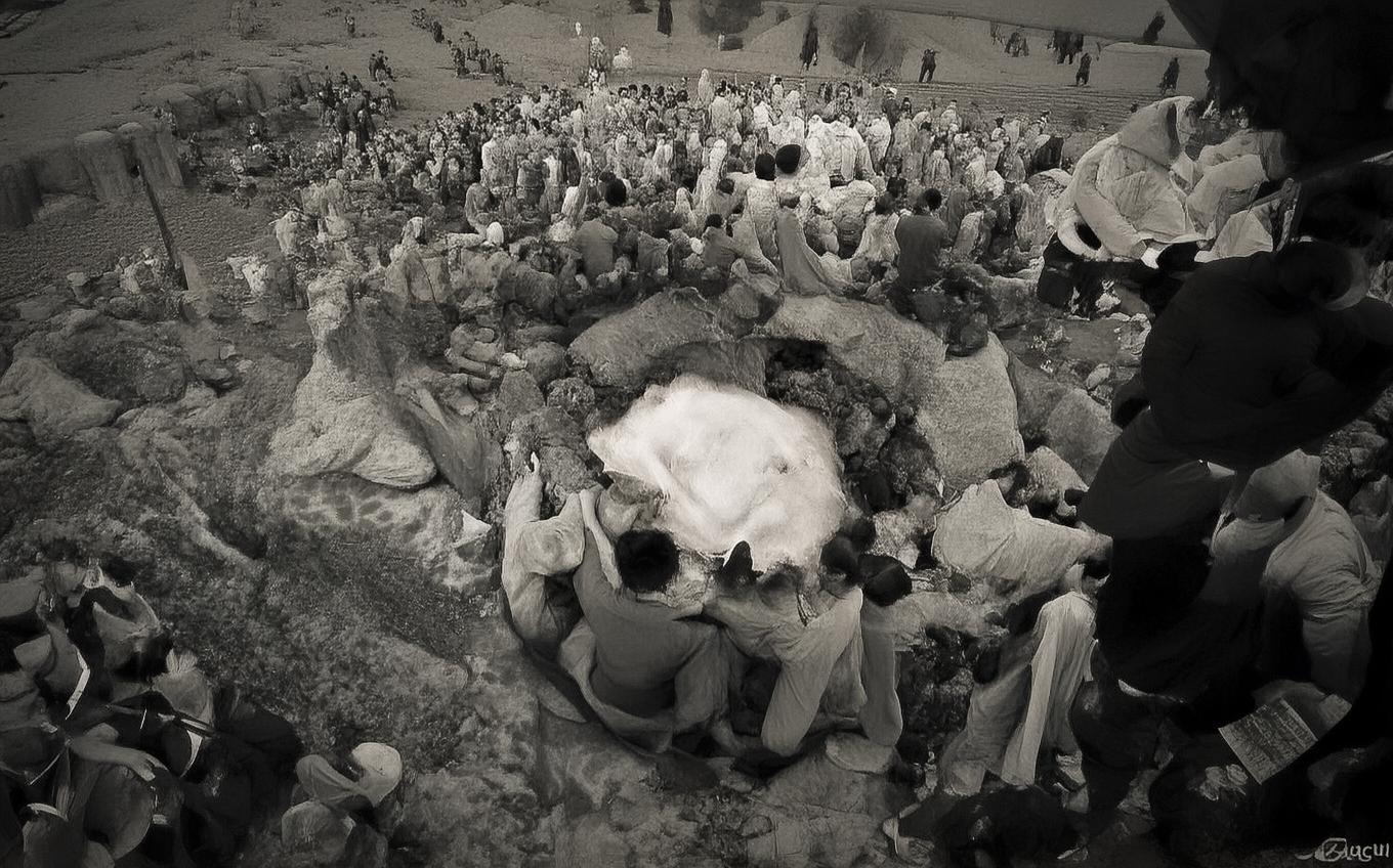 Learning Chinese Word: 送麹十少府