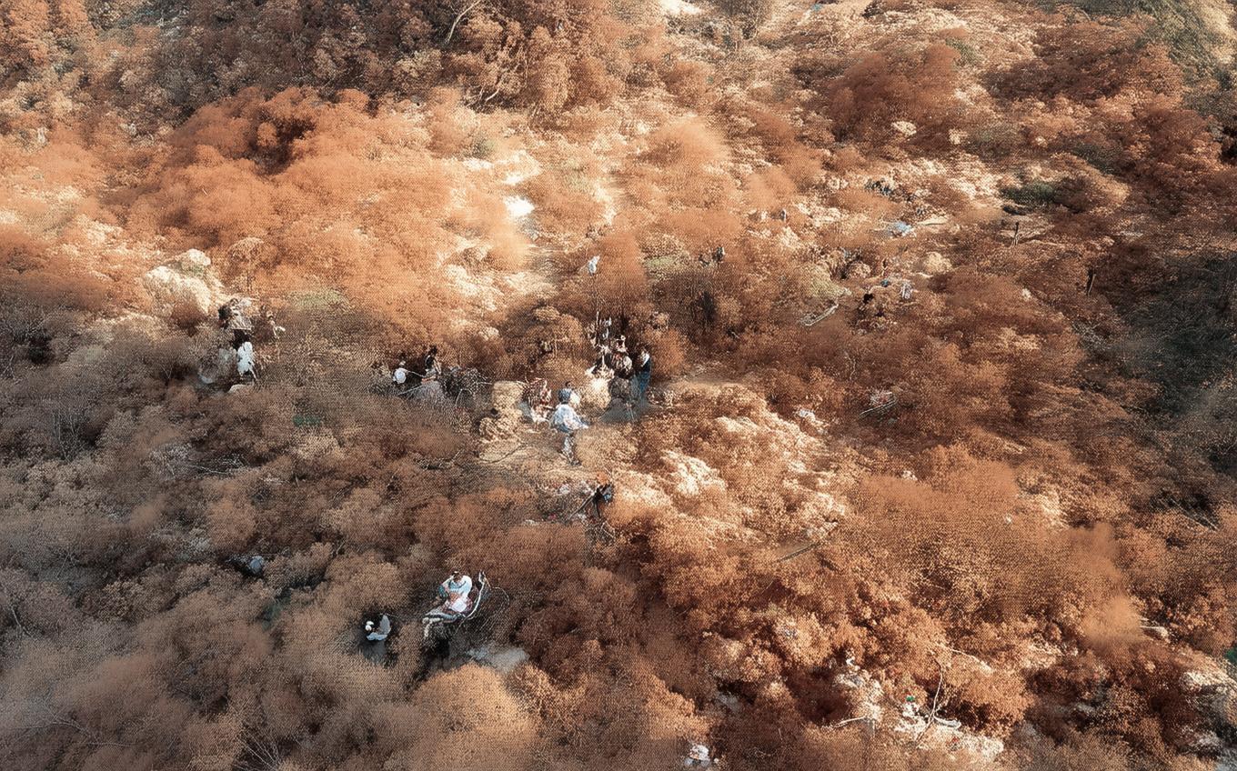 Analysis of a Classic Chinese Poem: 李夫人