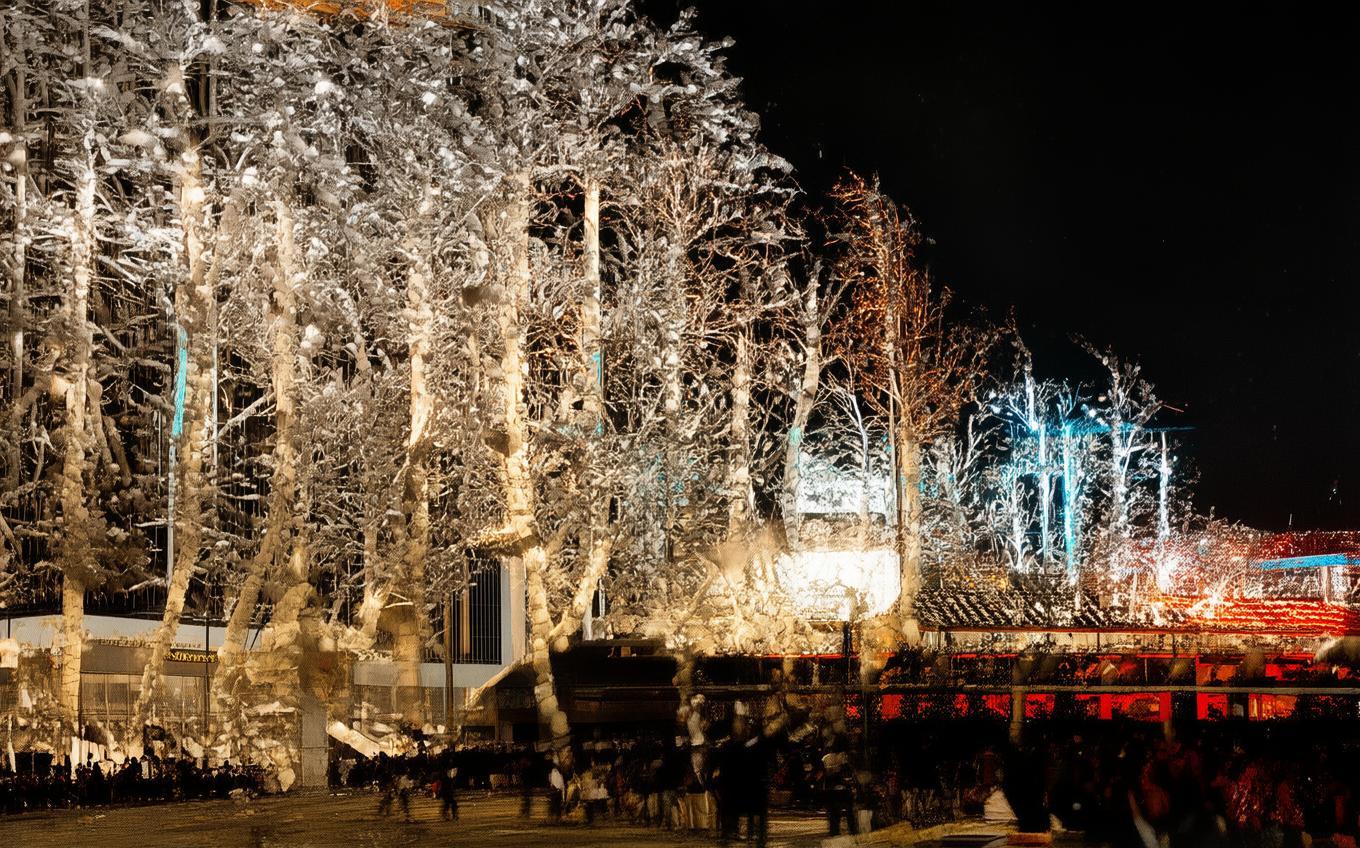 Analysis of a Classic Chinese Poem: 邯郸冬至夜思家