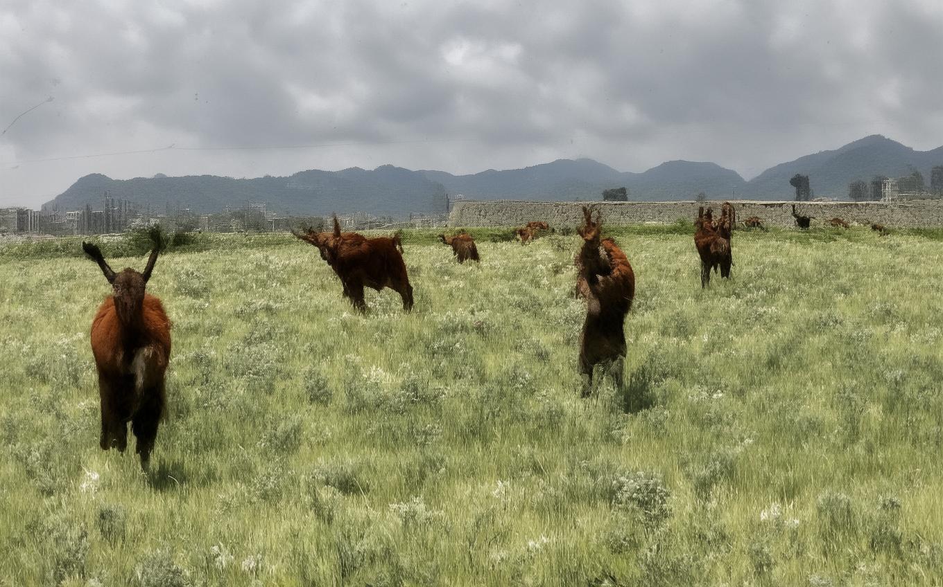 Analysis of a Classic Chinese Poem: 齐天乐·蝉