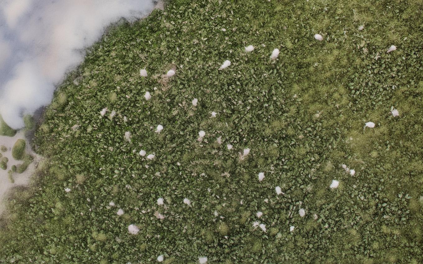 Analysis of a Classic Chinese Poem: 后出塞五首