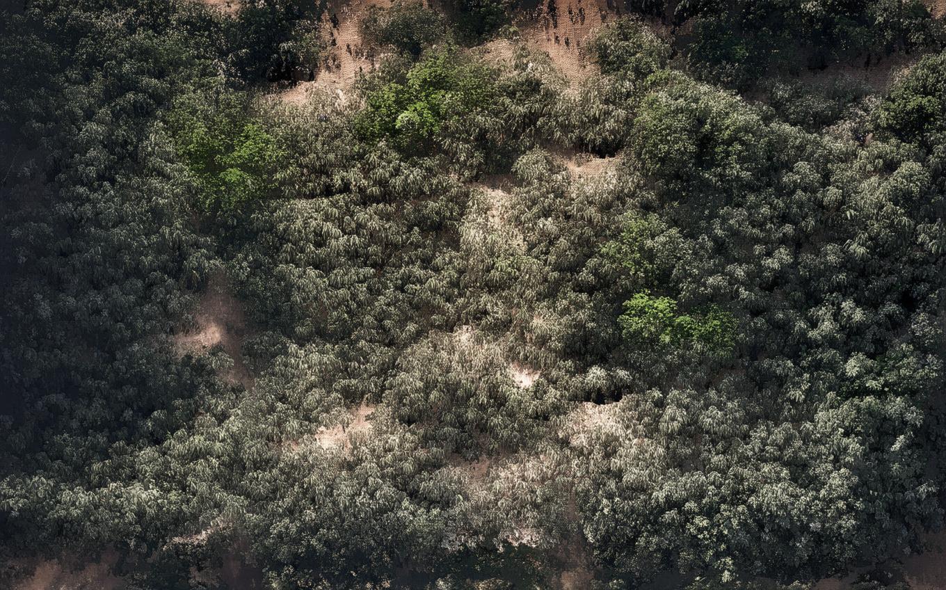 Analysis of a Classic Chinese Poem: 后宫词