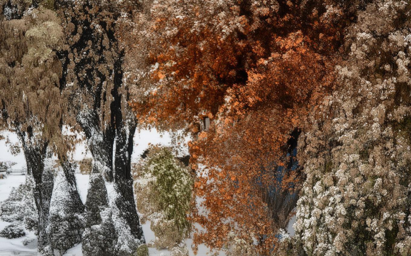 Analysis of a Classic Chinese Poem: 新嫁娘词