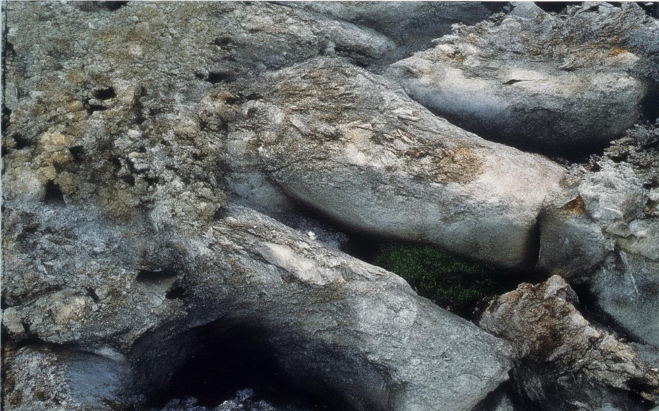 Analysis of a Classic Chinese Poem: 赋新月