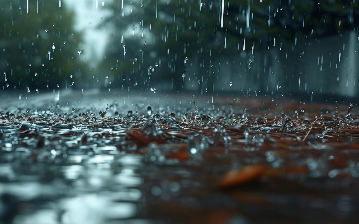 Learning Chinese Word: 雨滴