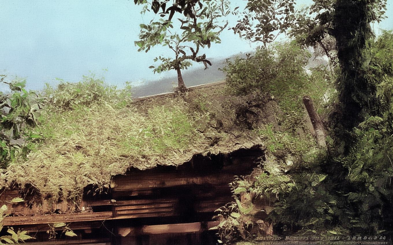 Analysis of a Classic Chinese Poem: 漫成一首