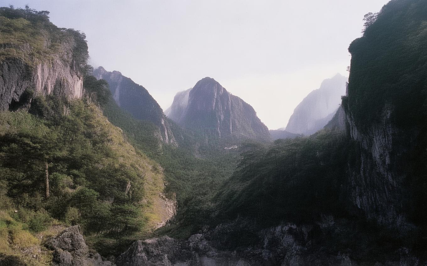 Analysis of a Classic Chinese Poem: 江畔独步寻花七绝句