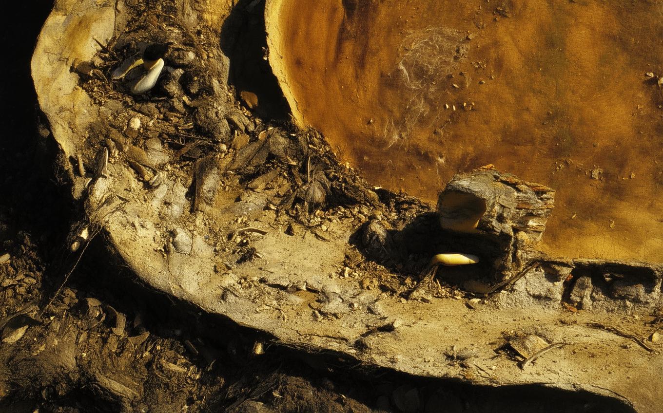 Analysis of a Classic Chinese Poem: 忆扬州