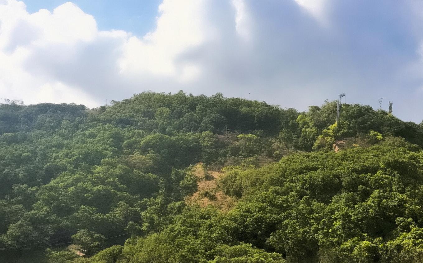 Analysis of a Classic Chinese Poem: 宿王昌龄隐居